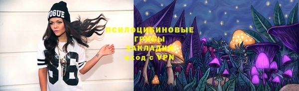 MESCALINE Каменка