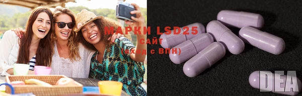 PSILOCYBIN Каменск-Шахтинский