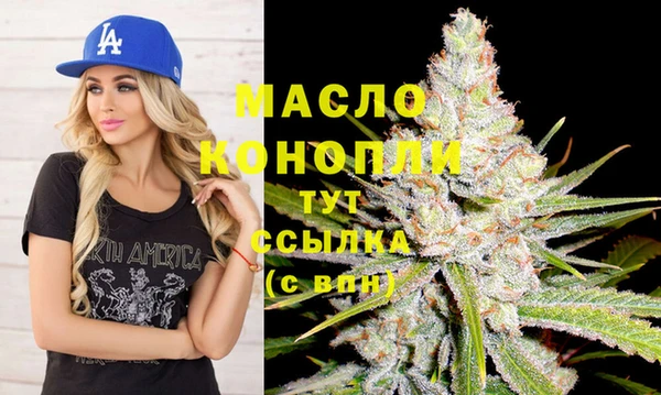 твердый Инсар