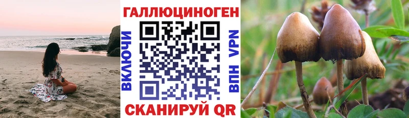 магазин  наркотиков  Называевск  Псилоцибиновые грибы ЛСД 